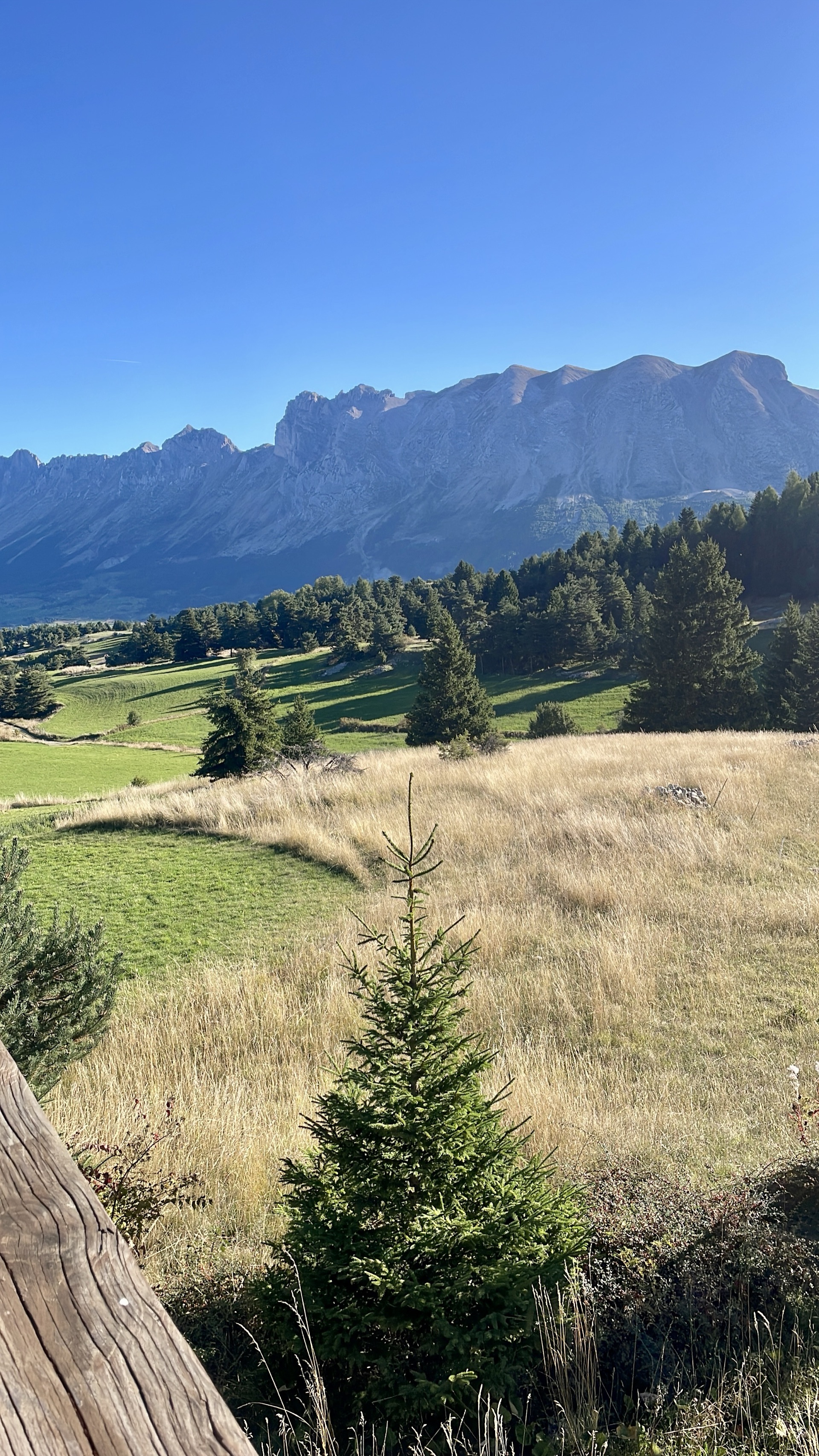 Le Collet du Tat, la balade des enfants depuis le chalet