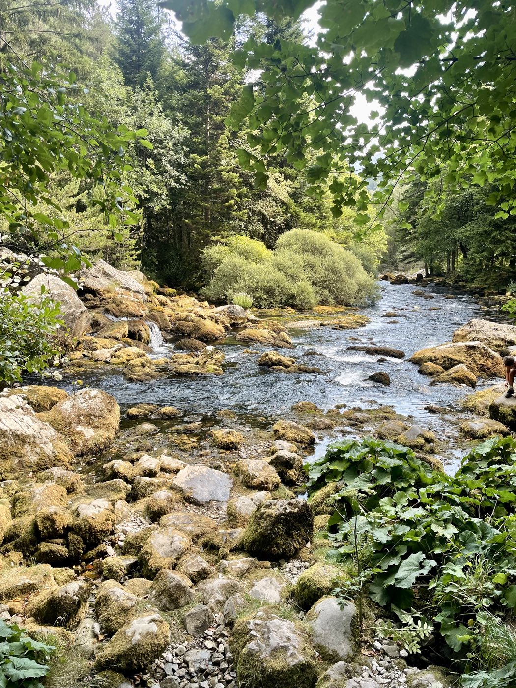 The resurgence, the Dévoluy’s cool-water walk